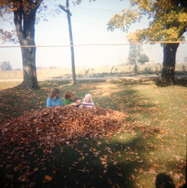 awholebuchofleaves.jpg - Hangig with the nieghbours in the fall.