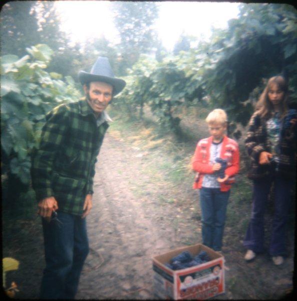 pickingfruit.jpg - Picking fruit in B.C.