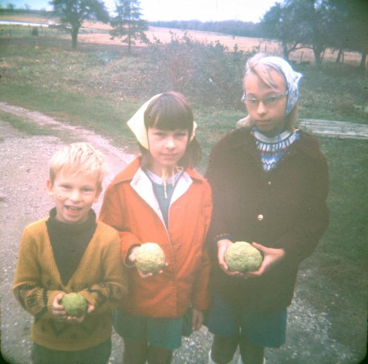 rickbarbbetwithvegitables.jpg - Rick, Barb & Bet.