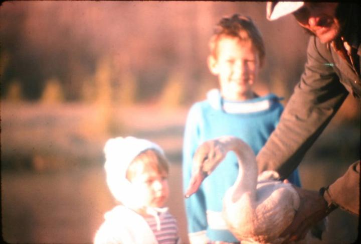 scottrobdadwithaswan.jpg - Scott, me, Dada and a Tundra Swan.