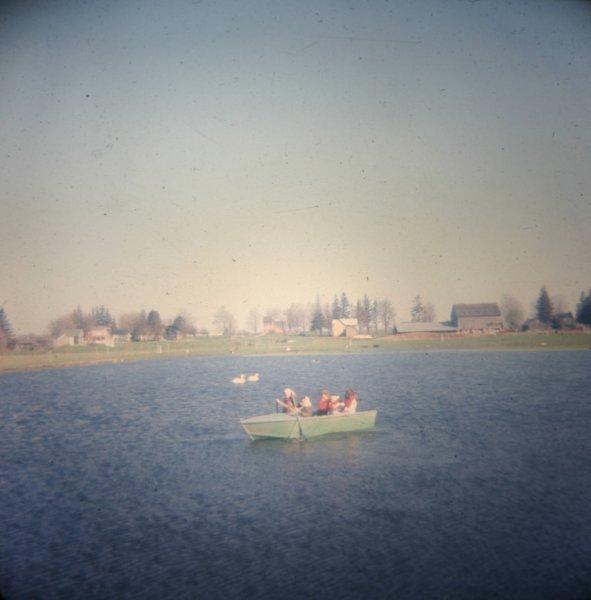 thepondinbrusselson.jpg - The pond at the farm in Cranbrook.