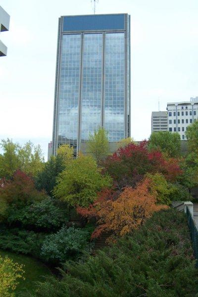 downtownedmonton2.jpg - More downtown Edmonton.