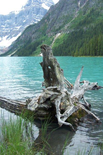 arockymountainlake2.jpg - A mountain lake in the Rockies.