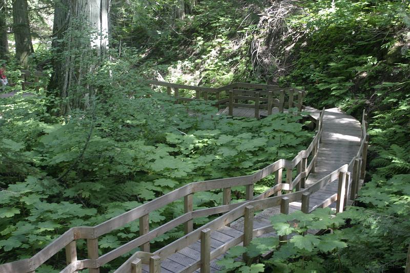 IMG_0114.JPG - The boardwalk in Mt Revelstoke National Park.