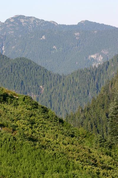 IMG_0272.JPG - The view north from Grouse Mountain