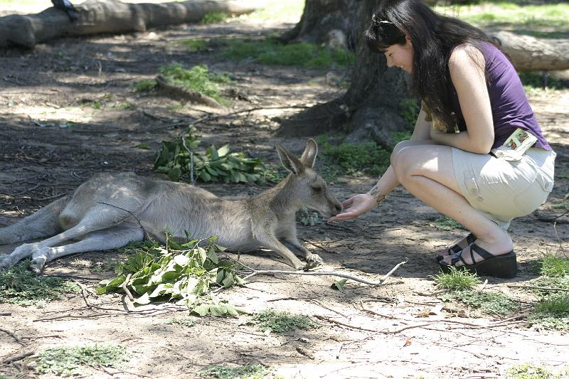 IMG_2706.JPG - Including feeding them...