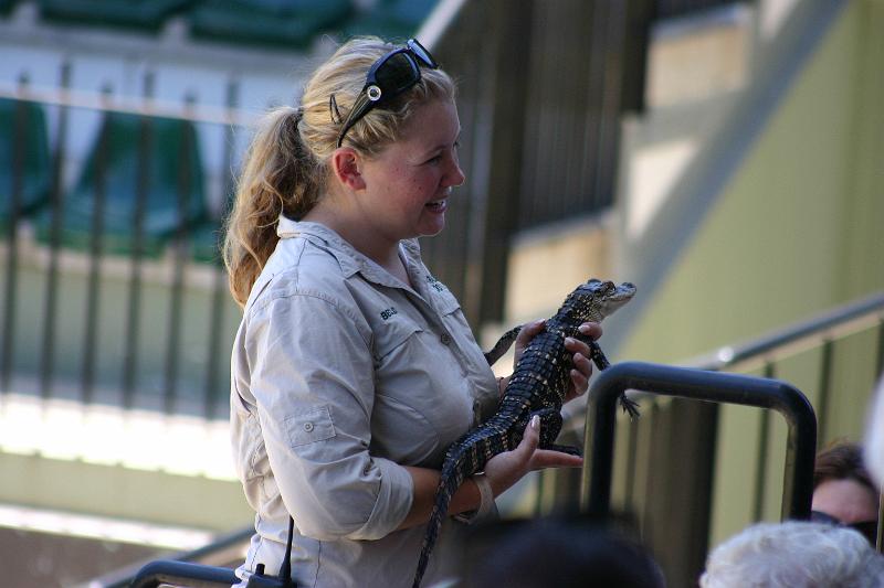 IMG_3218.JPG - ... baby crocodiles..