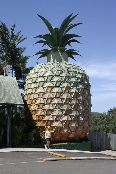 IMG_3285.JPG - Next we went to a pinaepple plantation with a giant fibreglass pineapple.