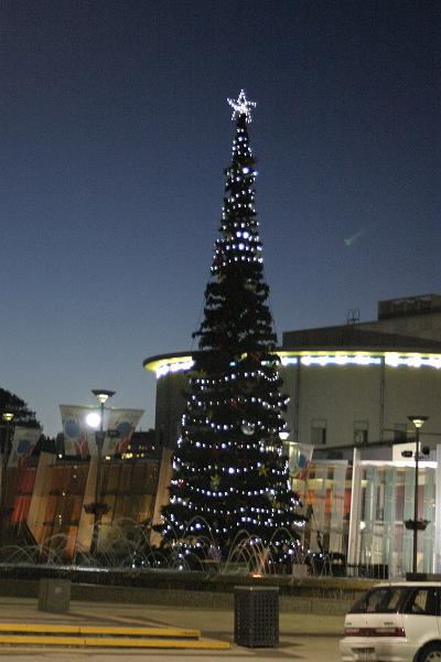 IMG_3823.JPG - The city Christmas tree.  (Some of the lights weren't working)